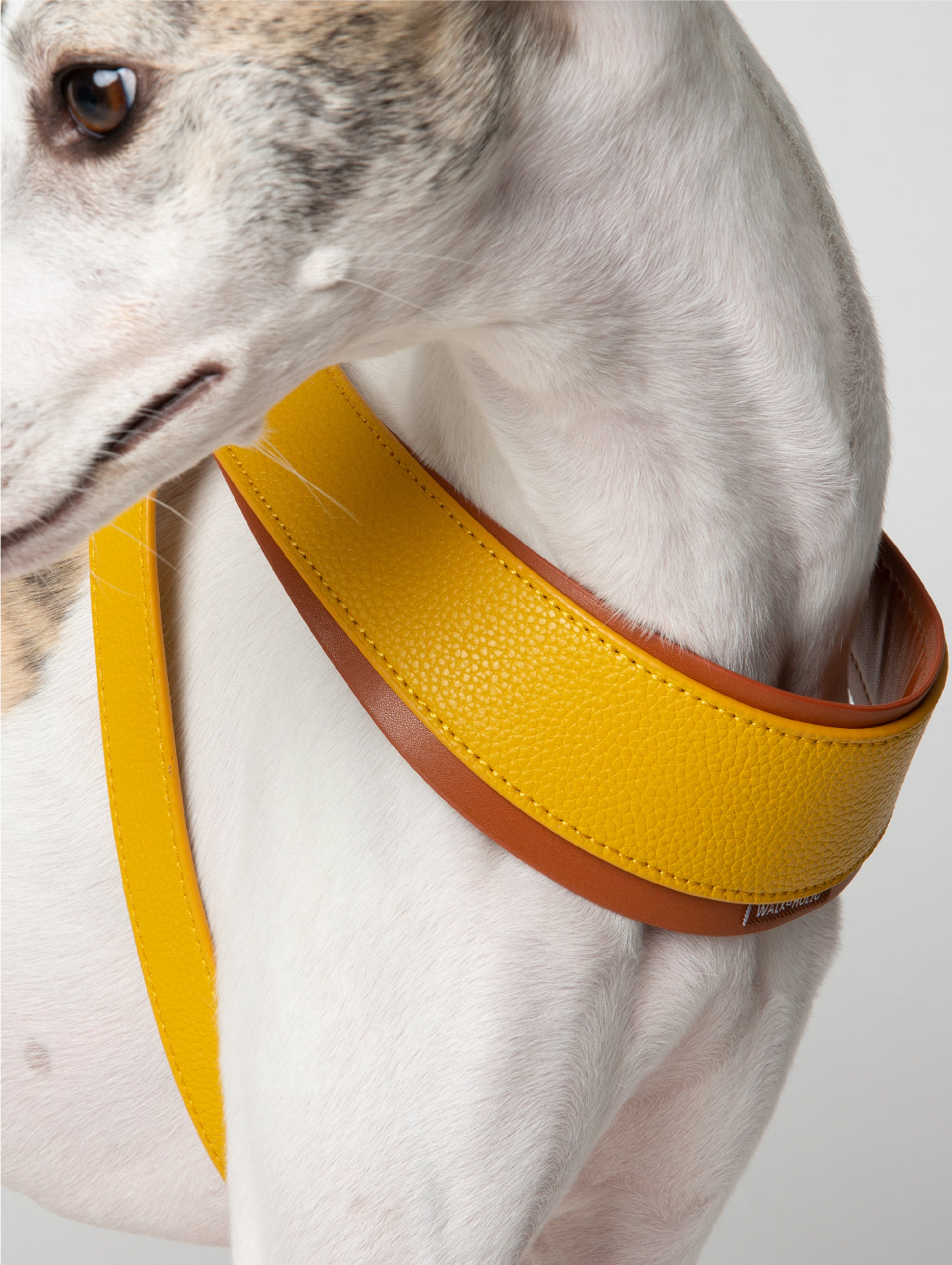 WALKaHOLIC HIKE (Banana Yellow)