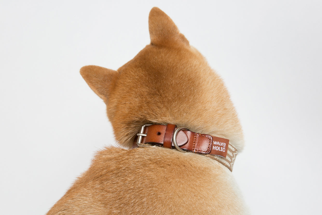 WALKaHOLIC FAMOUS (Wheat)