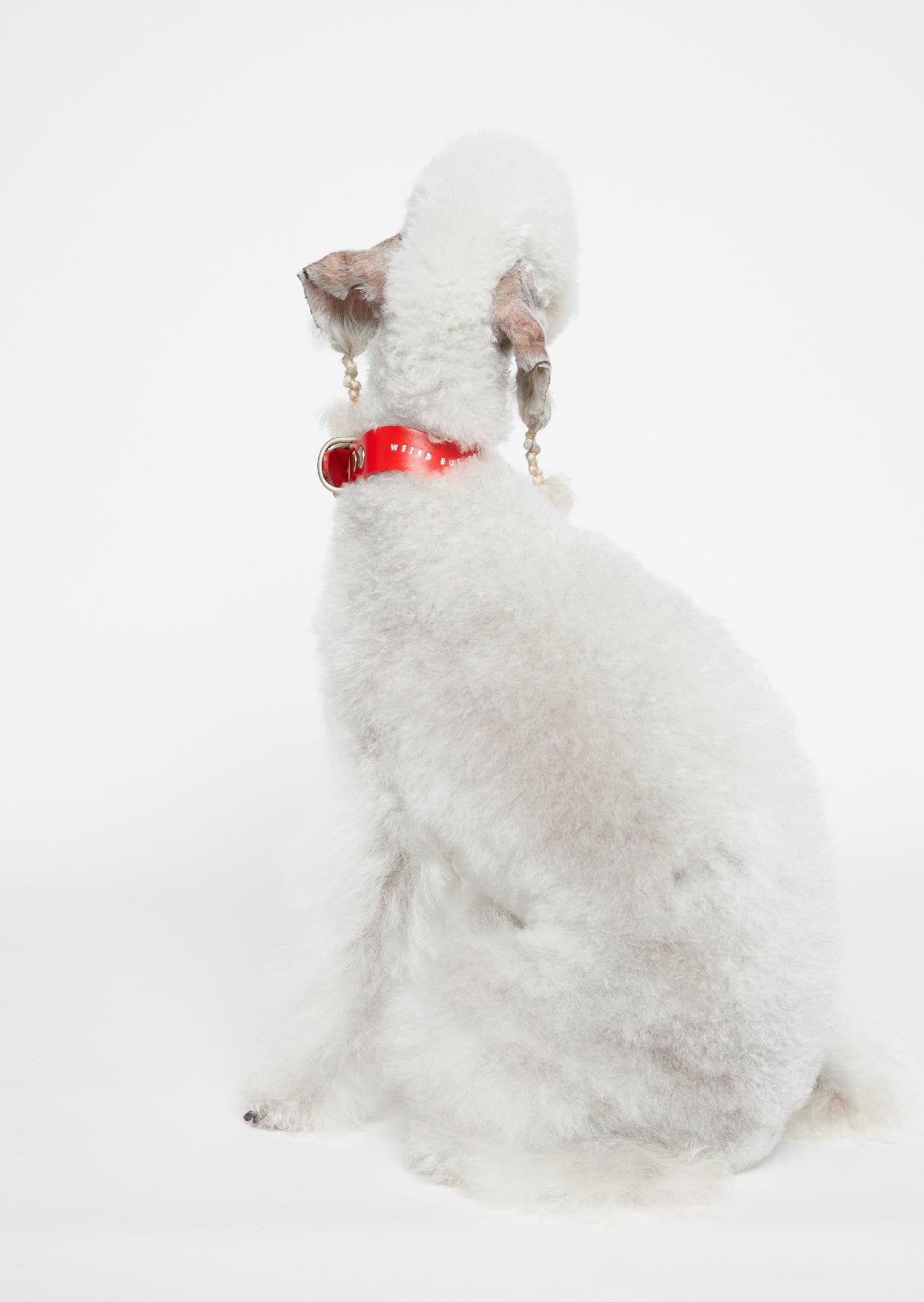 WALKaHOLIC WONDER (Chrome Red)