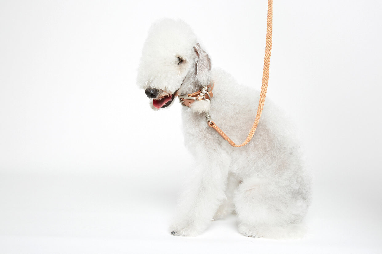 WALKaHOLIC REACTOR (Uranium Brown)