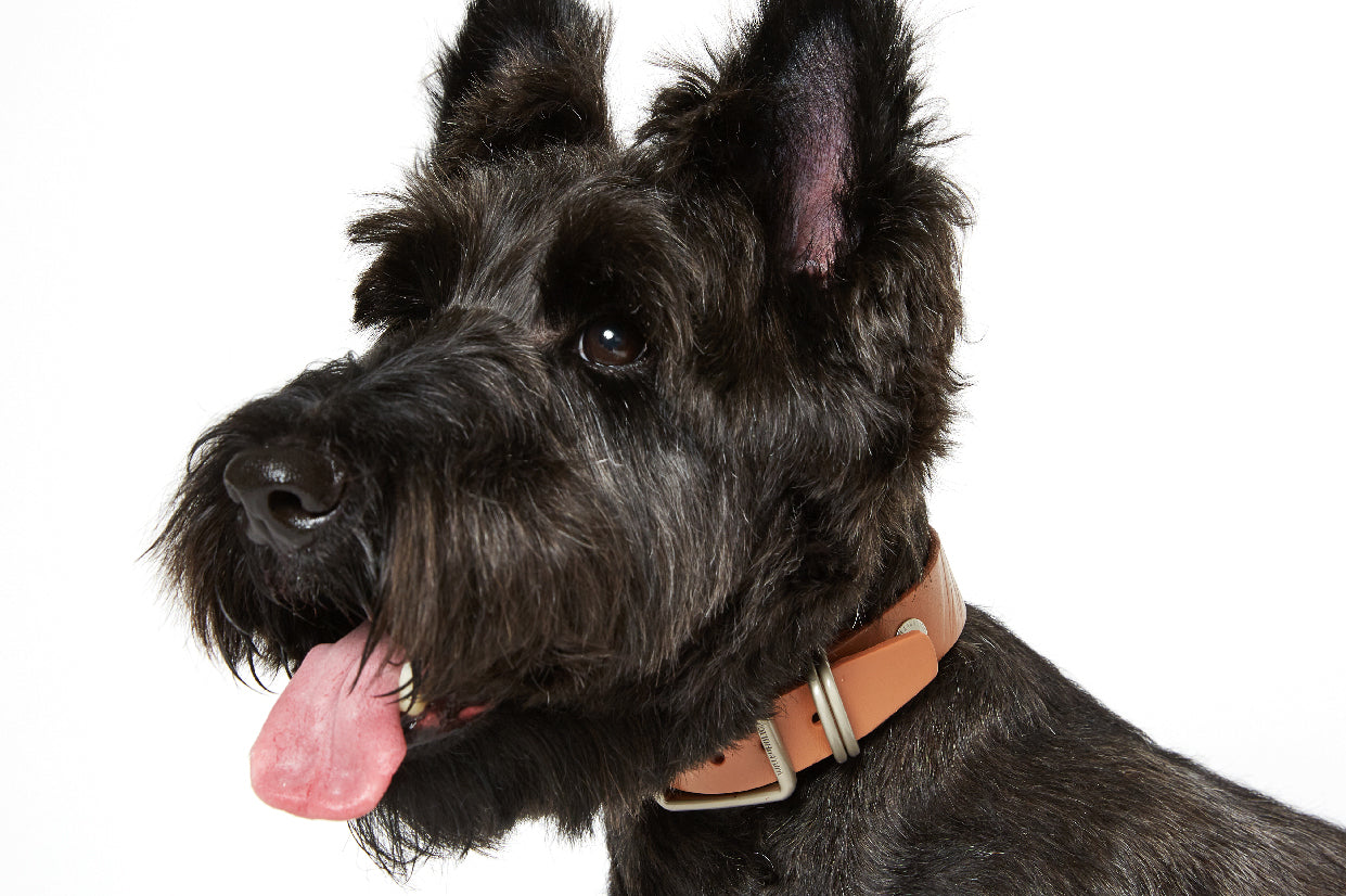 WALKaHOLIC REACTOR (Uranium Brown)