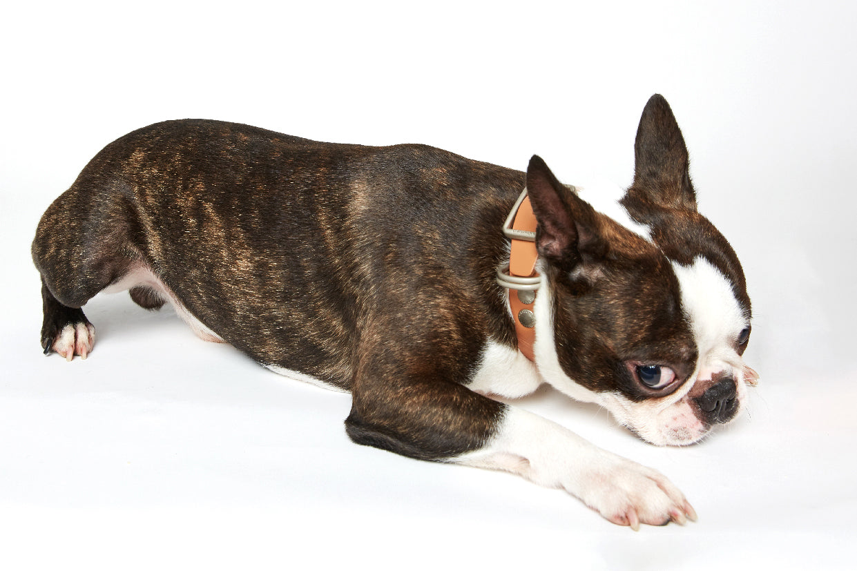 WALKaHOLIC REACTOR (Uranium Brown)