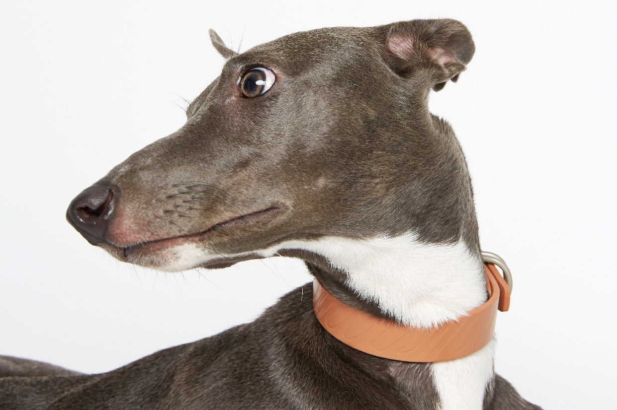 WALKaHOLIC REACTOR (Uranium Brown)