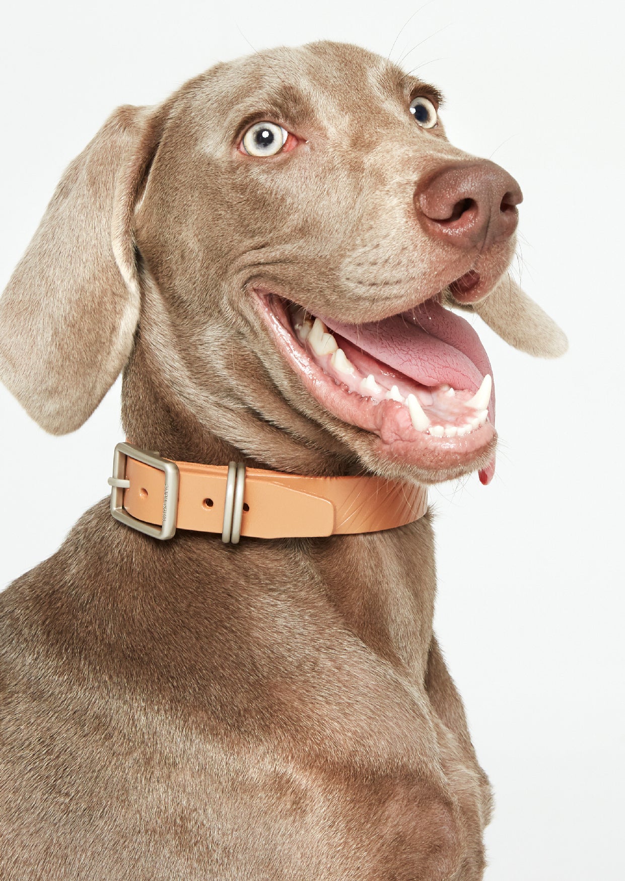 WALKaHOLIC REACTOR (Uranium Brown)