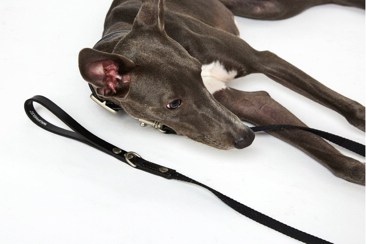 WALKaHOLIC REACTOR (Black)