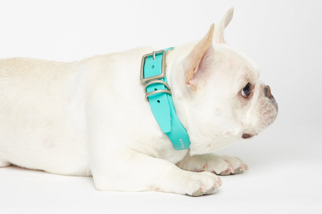 WALKaHOLIC WONDER (Titanium Blue)