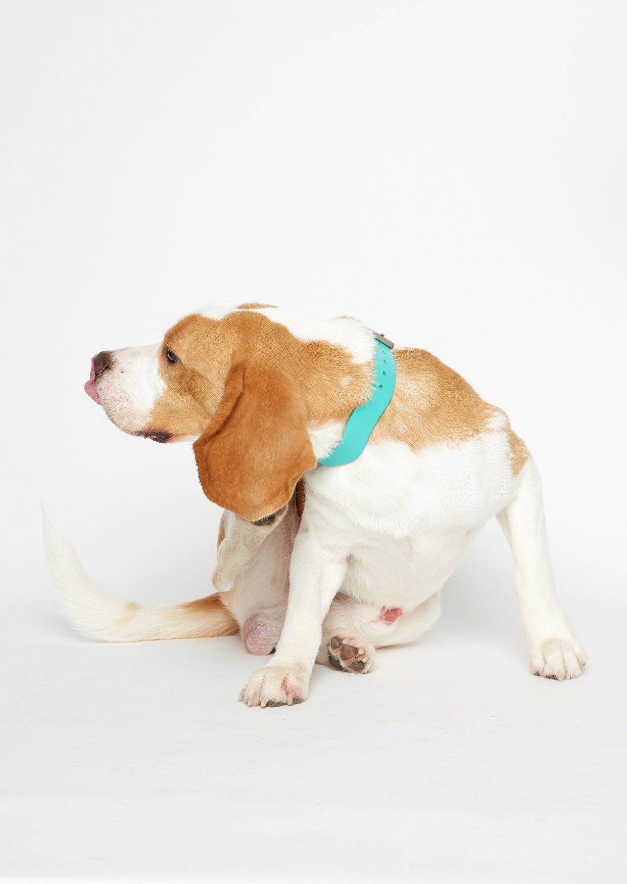 WALKaHOLIC WONDER (Titanium Blue)