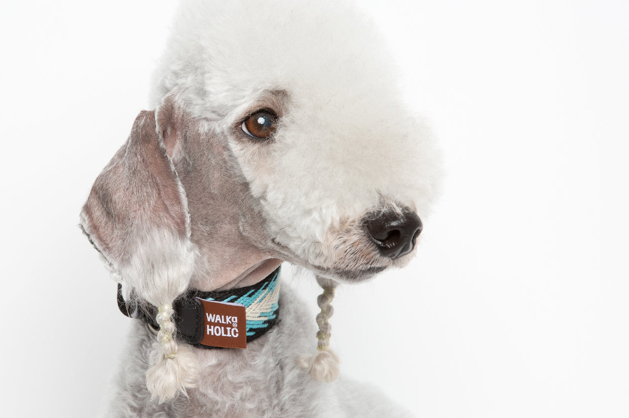 WALKaHOLIC DIVA (Peacock)