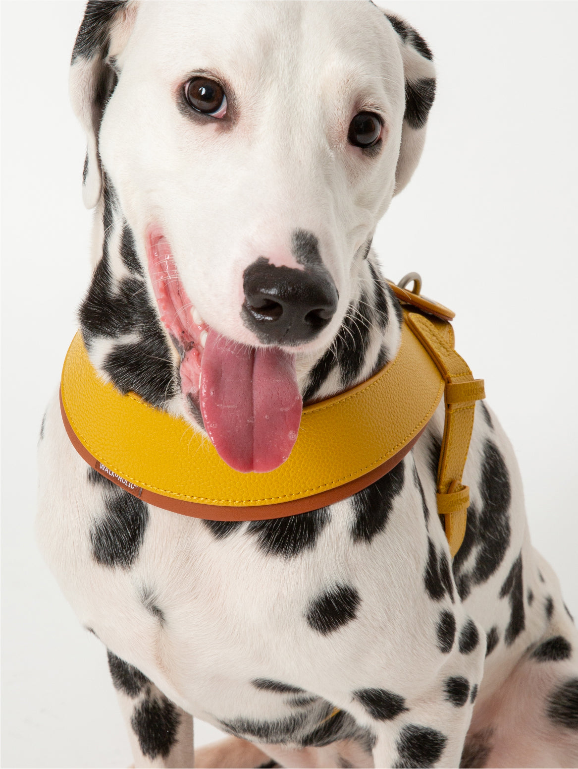 WALKaHOLIC HIKE (Banana Yellow)