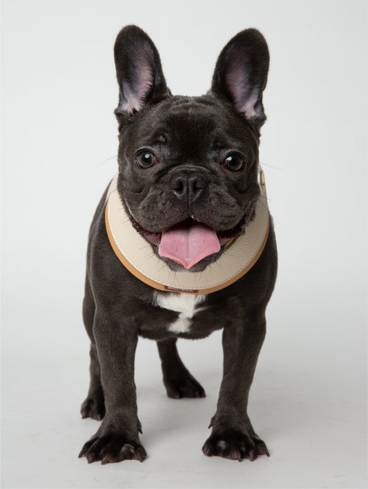 WALKaHOLIC HIKE (Creamy White)