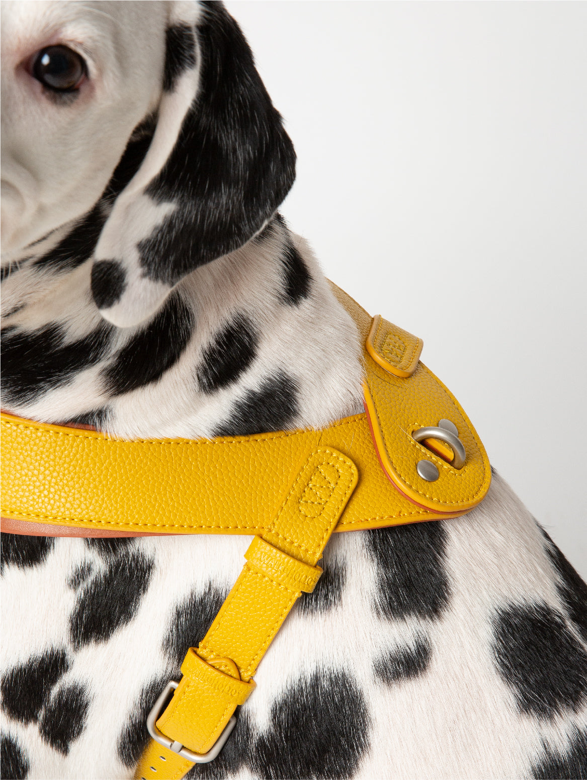 WALKaHOLIC HIKE (Banana Yellow)