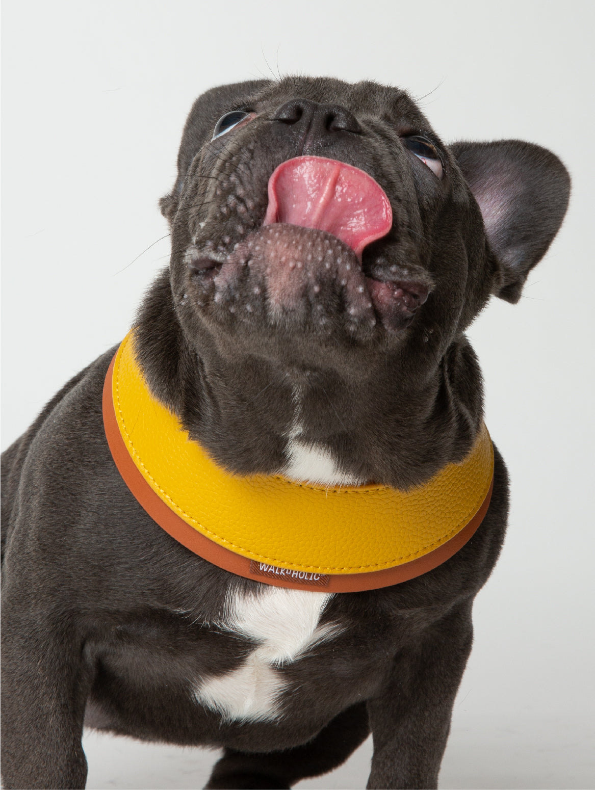 WALKaHOLIC HIKE (Banana Yellow)