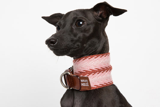 WALKaHOLIC DIVA (Flamingo)