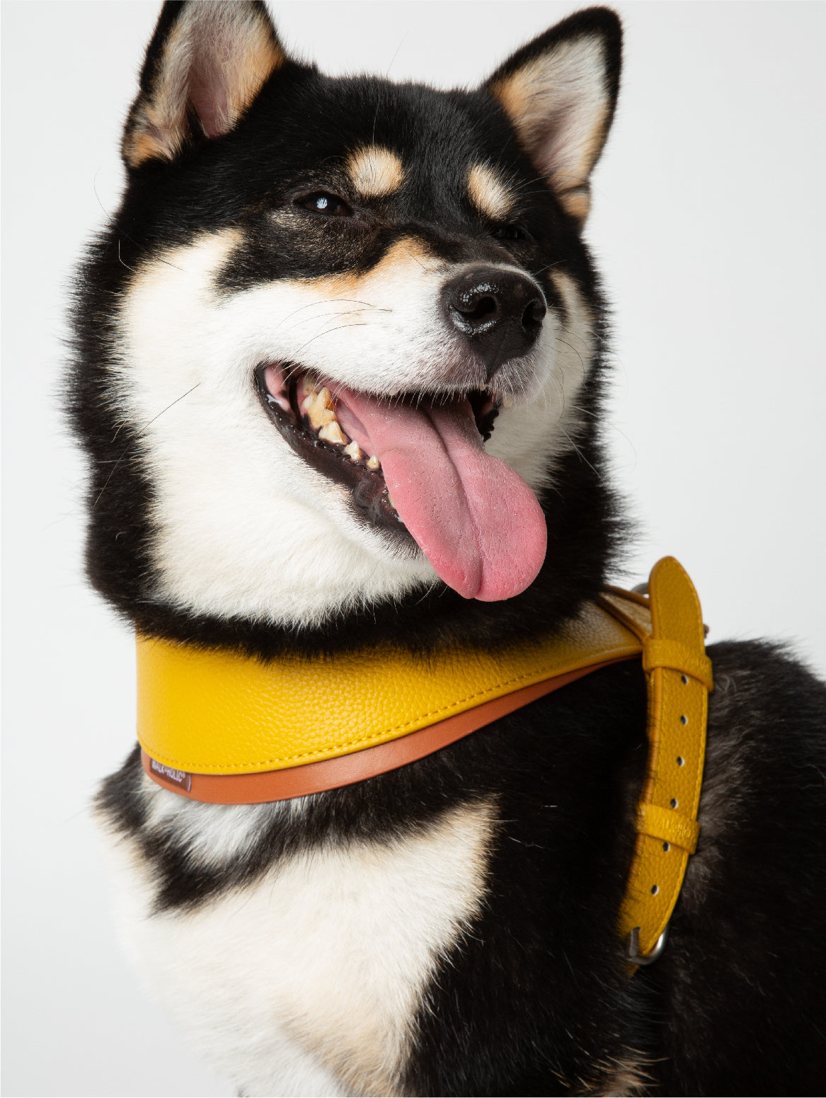 WALKaHOLIC HIKE (Banana Yellow)