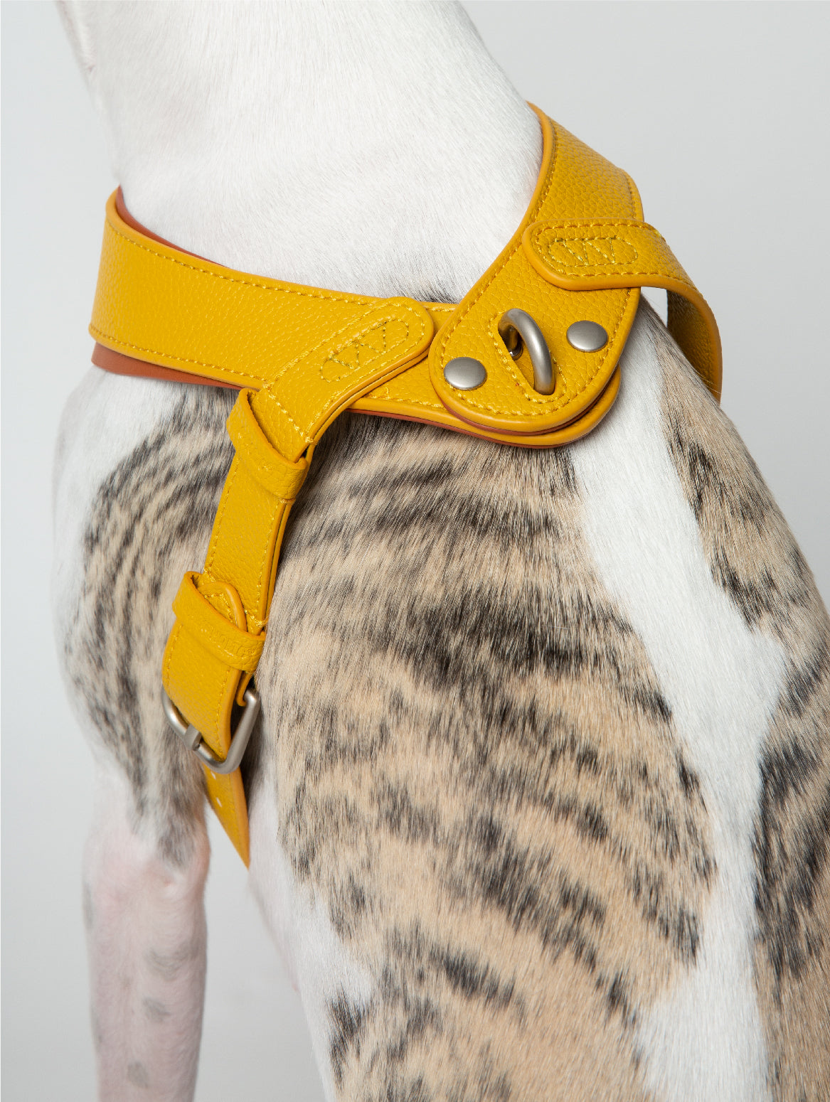 WALKaHOLIC HIKE (Banana Yellow)