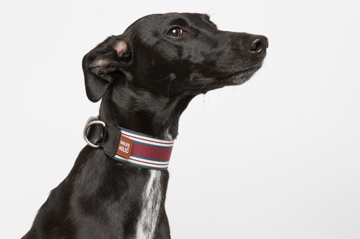 WALKaHOLIC AERO (Merlot)